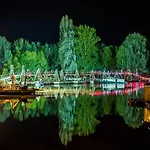 Százszorszép