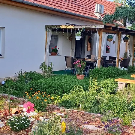 Szazszorszep Vendeghaz * Csongrád
